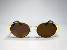 Classic Vintage Retro Luxury Hip Hop Rapper Style SUNGLASSES Oval Gold Frame - Brown Lens 27736